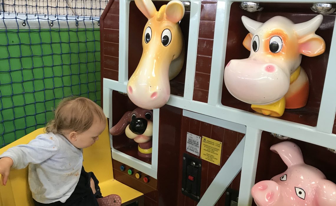 farms for kids near manchester